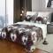 Patura CoCoLiNo cu blanita, 200x230 cm +2 fete de perna, Alb-Maro, animal print, PBC-025